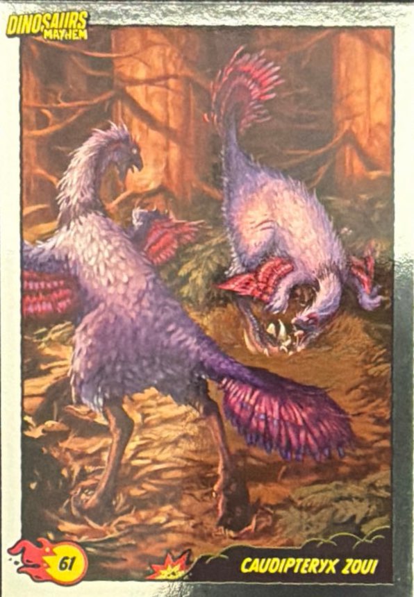 Release the Creatures Tomodachi Press - Scegli Card Tier C 1-150