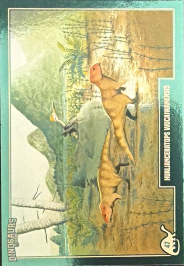 Release the Creatures Tomodachi Press - Scegli Card Tier C 1-150