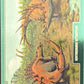 Release the Creatures Tomodachi Press - Scegli Card Tier B 1-150
