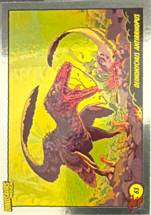 Release the Creatures Tomodachi Press - Scegli Card Tier C 1-150