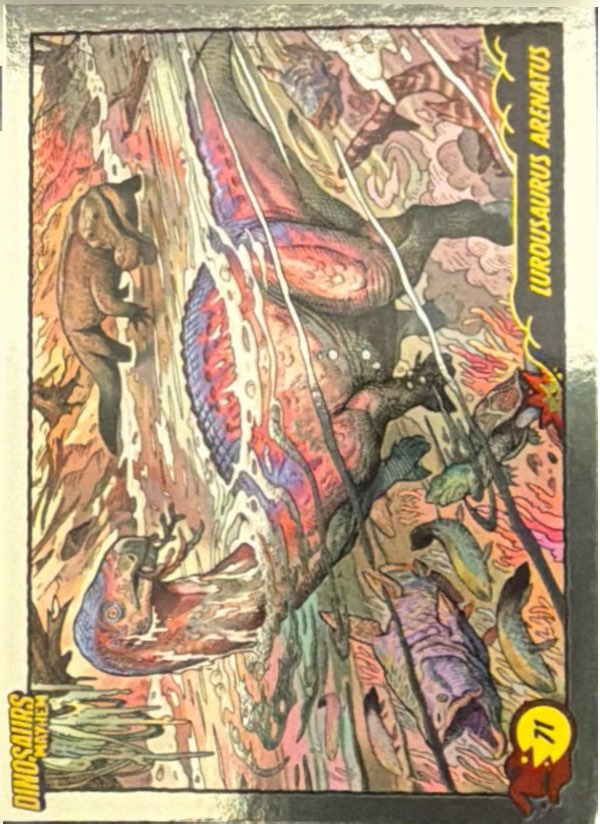 Release the Creatures Tomodachi Press - Scegli Card Tier B 1-150