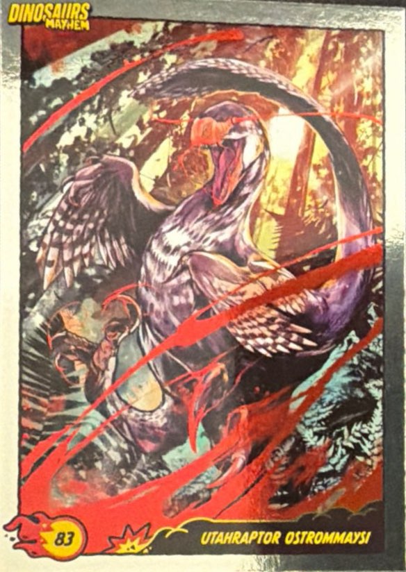 Release the Creatures Tomodachi Press - Scegli Card Tier B 1-150