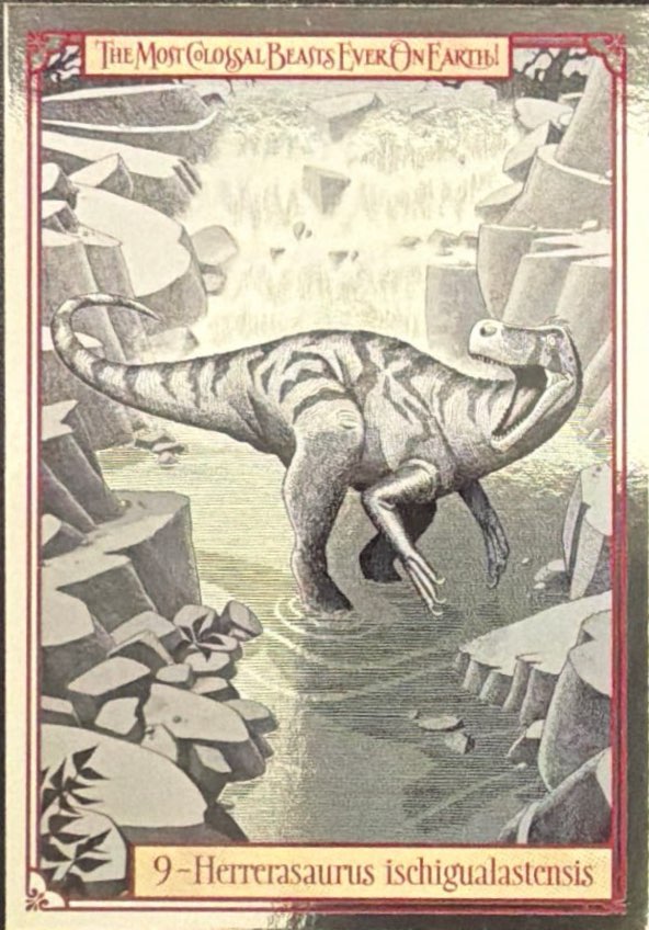 Release the Creatures Tomodachi Press - Scegli Card Tier C 1-150
