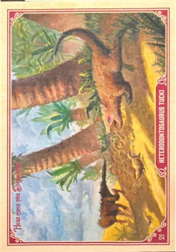 Release the Creatures Tomodachi Press - Scegli Card Regular 1-150
