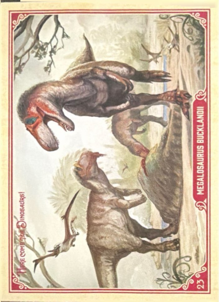 Release the Creatures Tomodachi Press - Scegli Card Regular 1-150