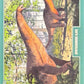 Release the Creatures Tomodachi Press - Scegli Card Regular 1-150