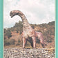 Release the Creatures Tomodachi Press - Scegli Card Regular 1-150