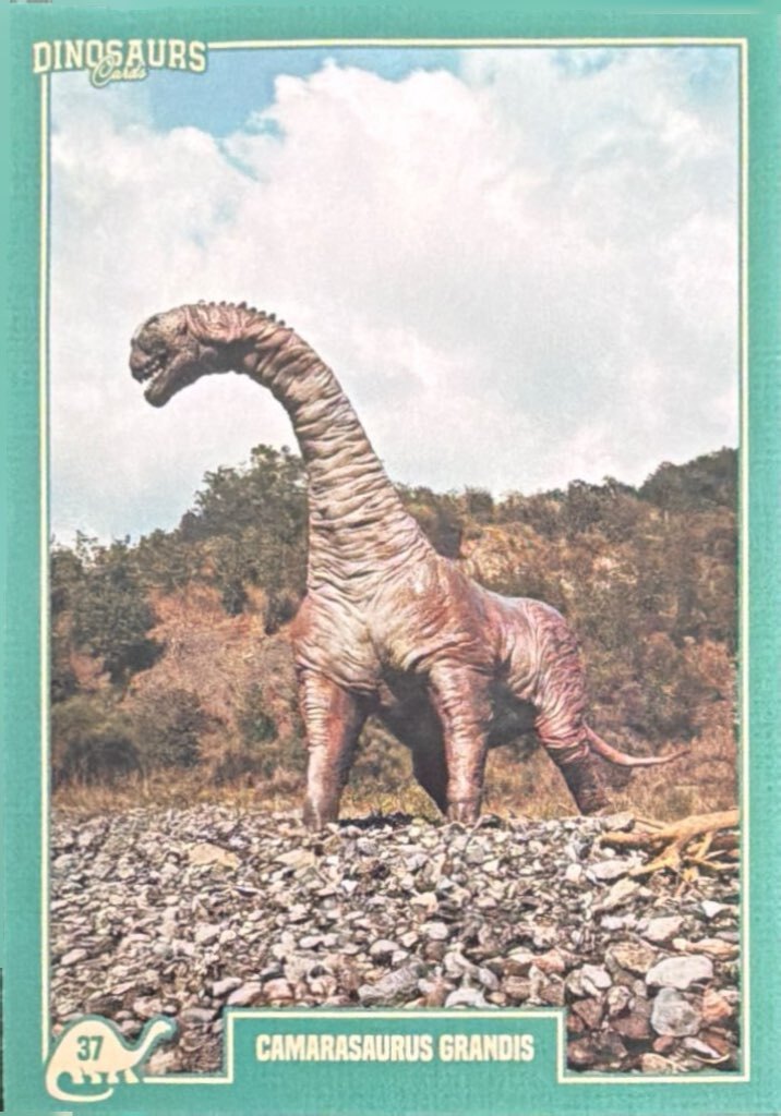 Release the Creatures Tomodachi Press - Scegli Card Regular 1-150