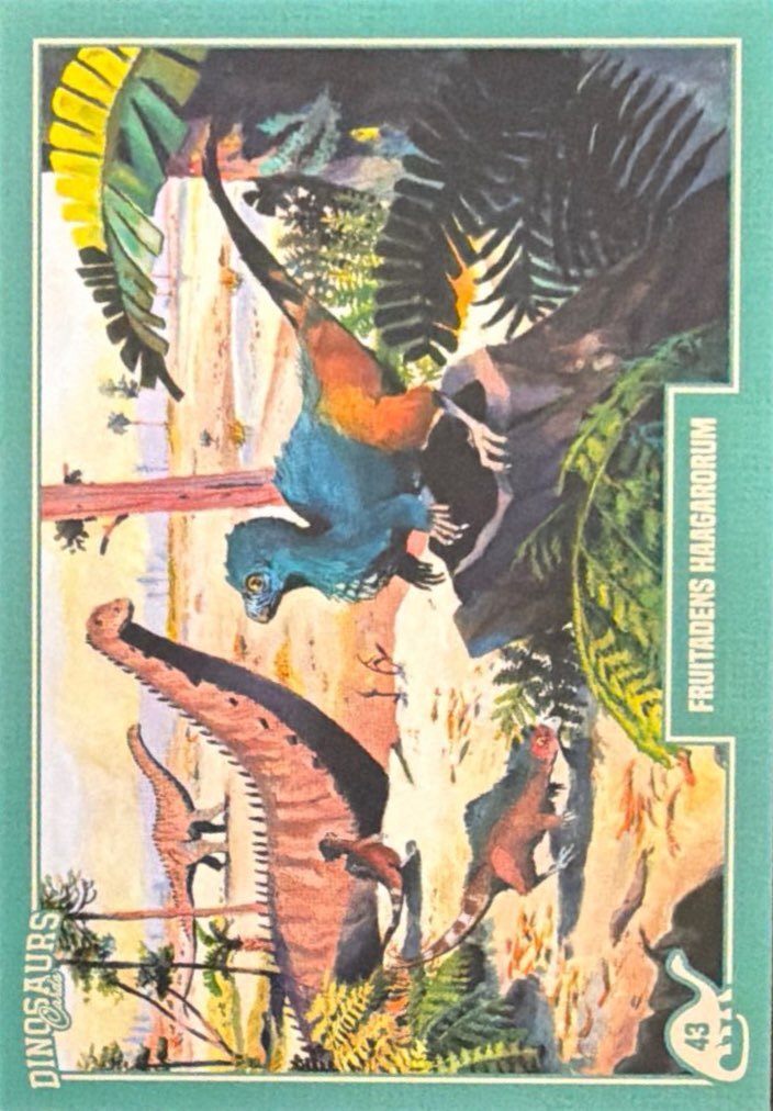 Release the Creatures Tomodachi Press - Scegli Card Regular 1-150