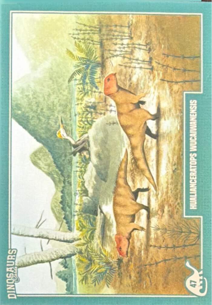 Release the Creatures Tomodachi Press - Scegli Card Regular 1-150