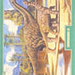 Release the Creatures Tomodachi Press - Scegli Card Regular 1-150