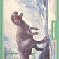 Release the Creatures Tomodachi Press - Scegli Card Regular 1-150