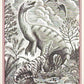 Release the Creatures Tomodachi Press - Scegli Card Regular 1-150