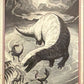 Release the Creatures Tomodachi Press - Scegli Card Tier A 1-150
