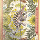 Release the Creatures Tomodachi Press - Scegli Card Tier A 1-150