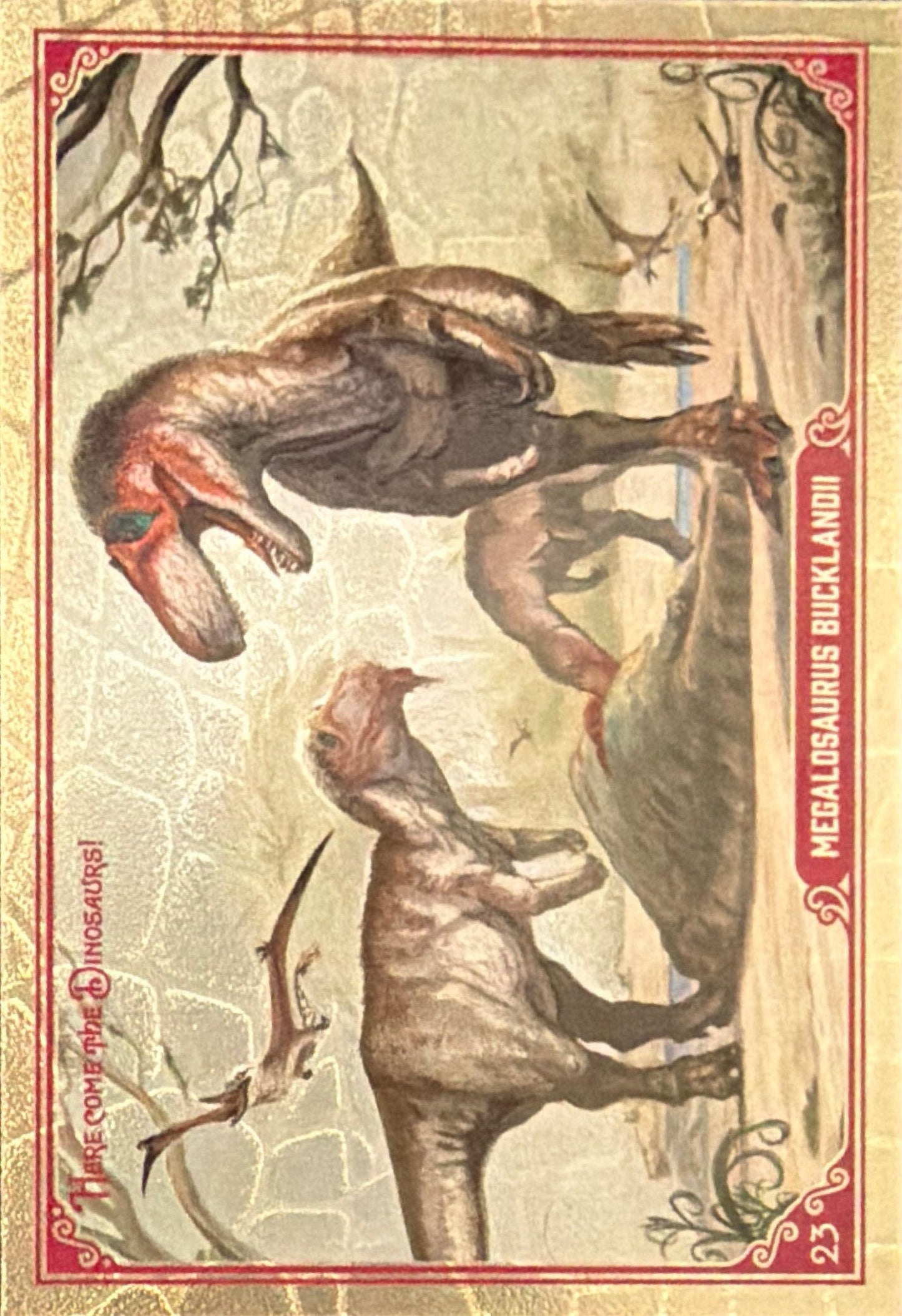 Release the Creatures Tomodachi Press - Scegli Card Tier A 1-150