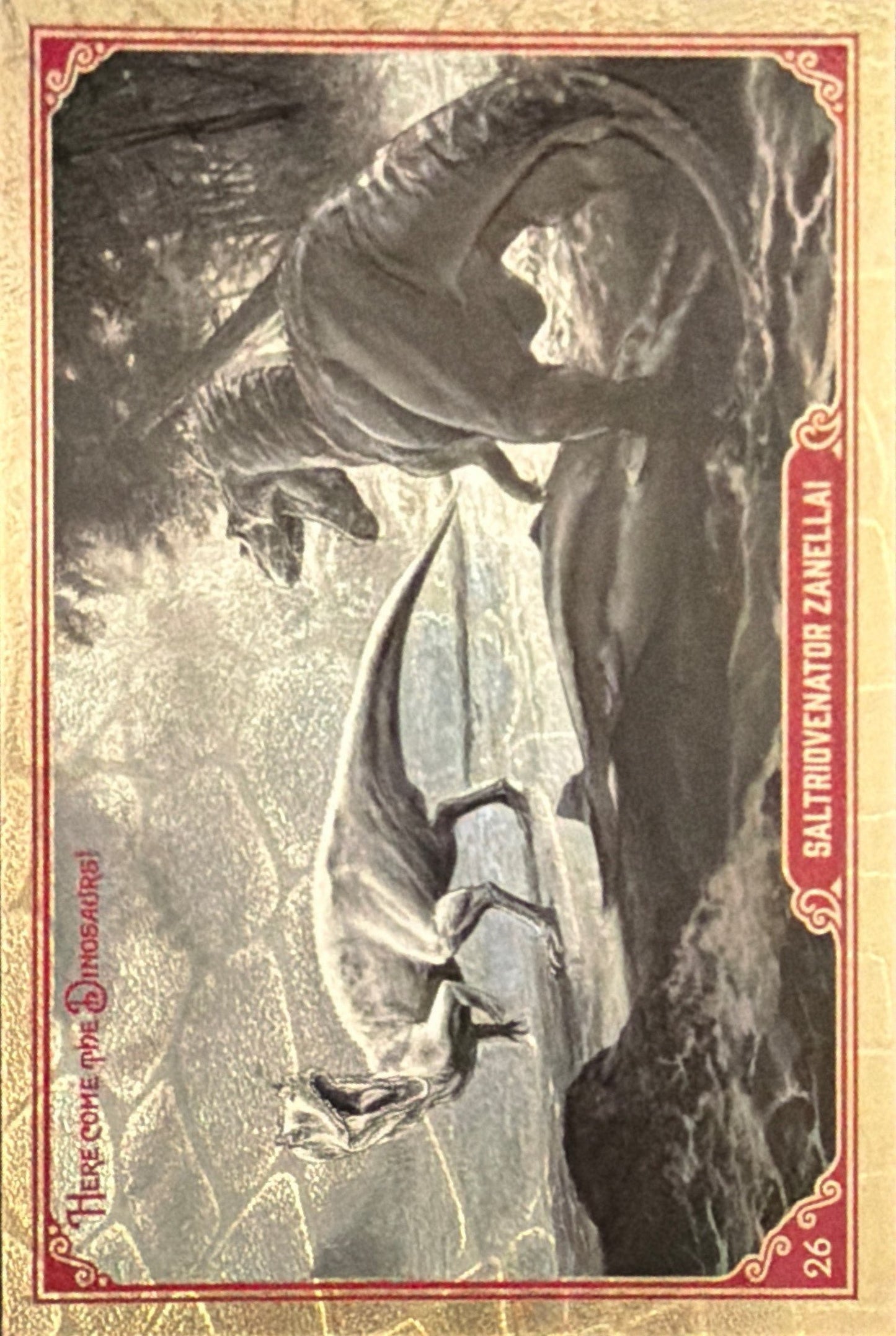 Release the Creatures Tomodachi Press - Scegli Card Tier A 1-150