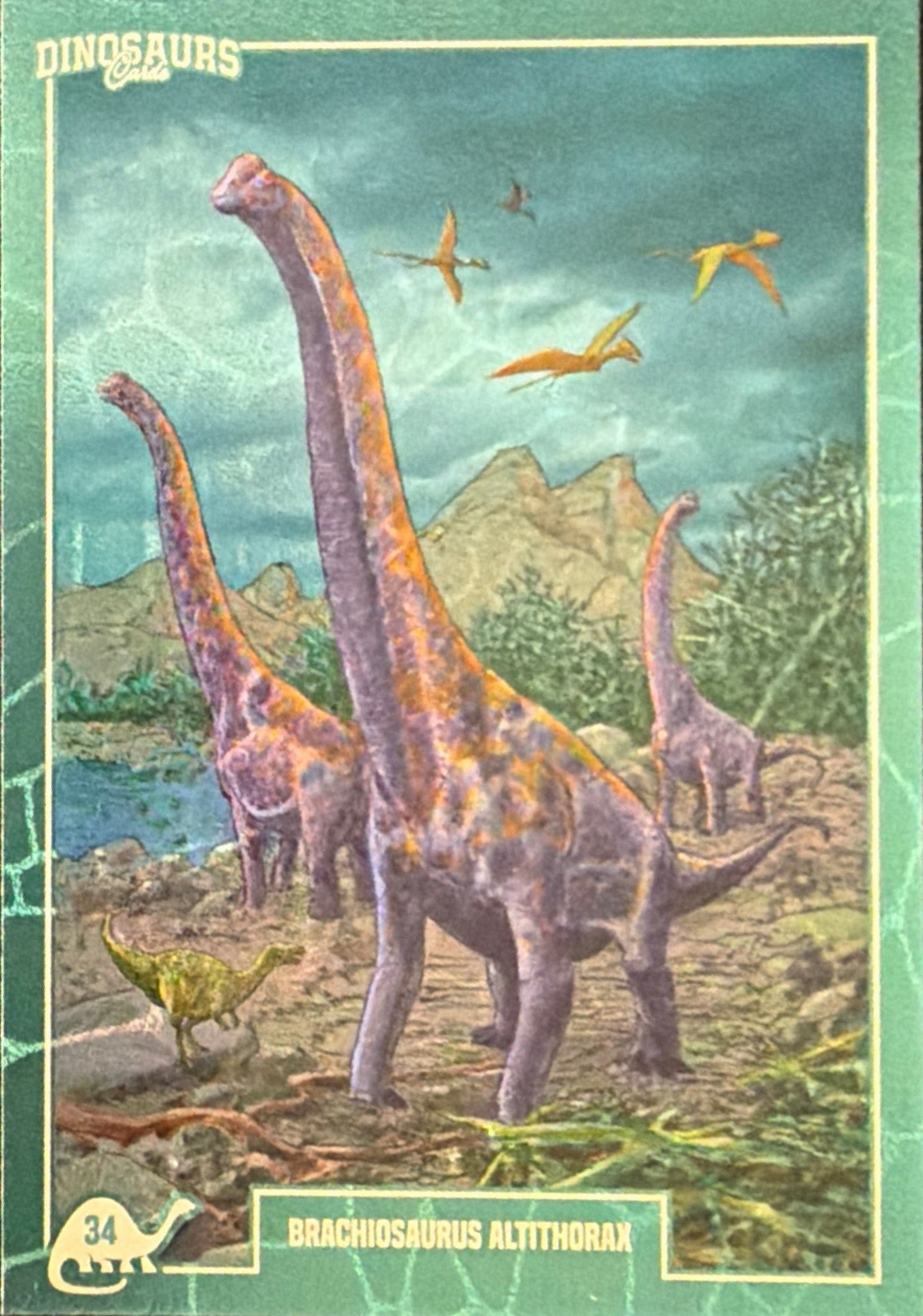 Release the Creatures Tomodachi Press - Scegli Card Tier A 1-150