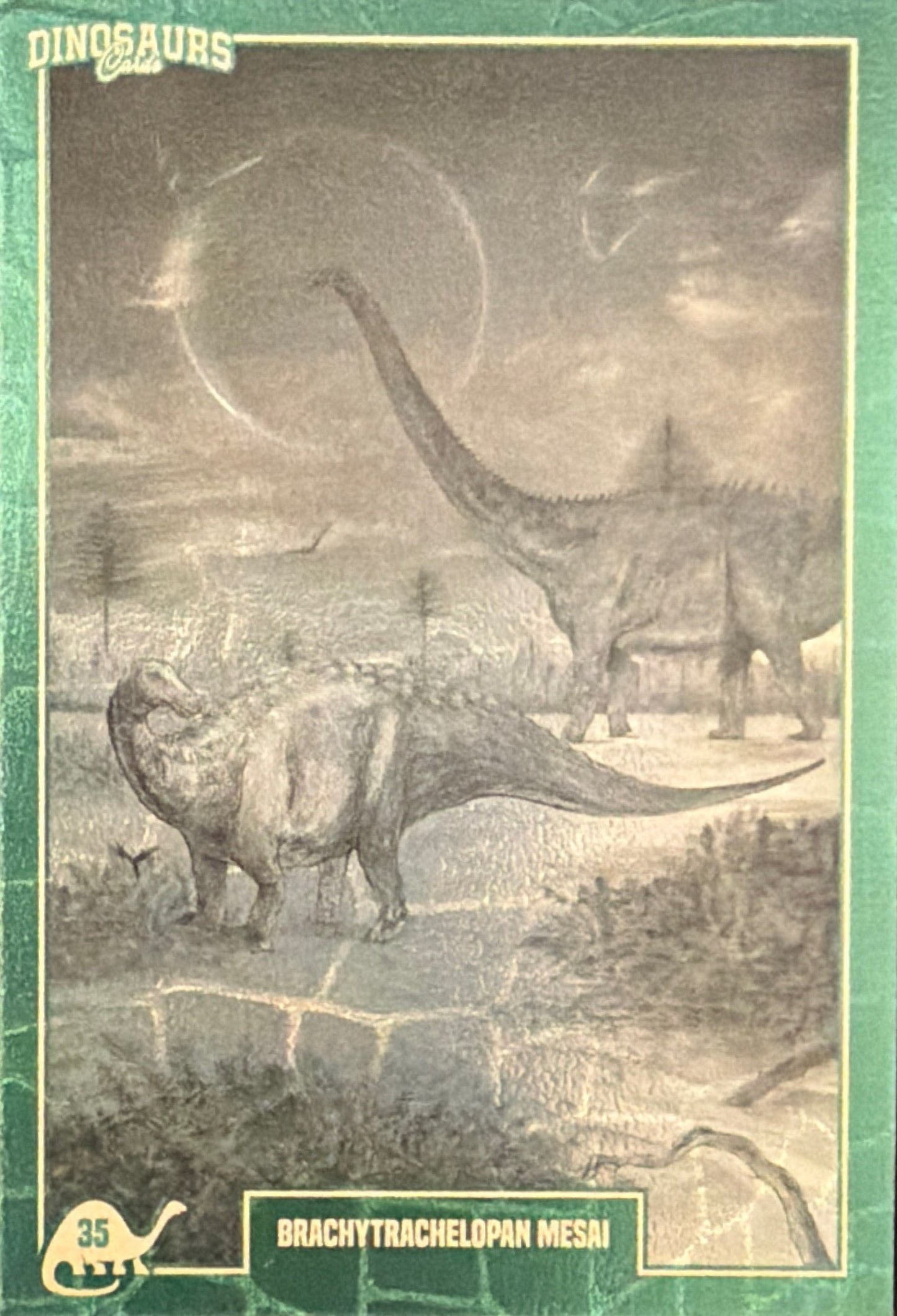 Release the Creatures Tomodachi Press - Scegli Card Tier A 1-150