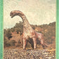 Release the Creatures Tomodachi Press - Scegli Card Tier A 1-150
