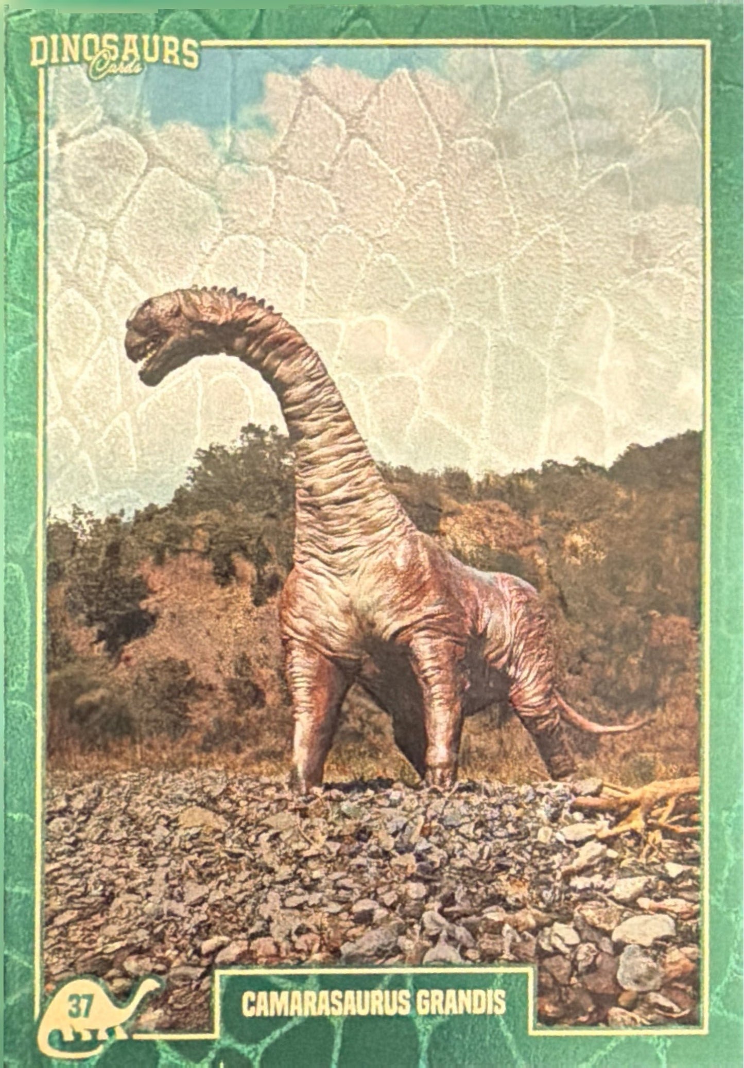 Release the Creatures Tomodachi Press - Scegli Card Tier A 1-150