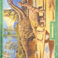 Release the Creatures Tomodachi Press - Scegli Card Tier A 1-150