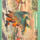 Release the Creatures Tomodachi Press - Scegli Card Tier A 1-150