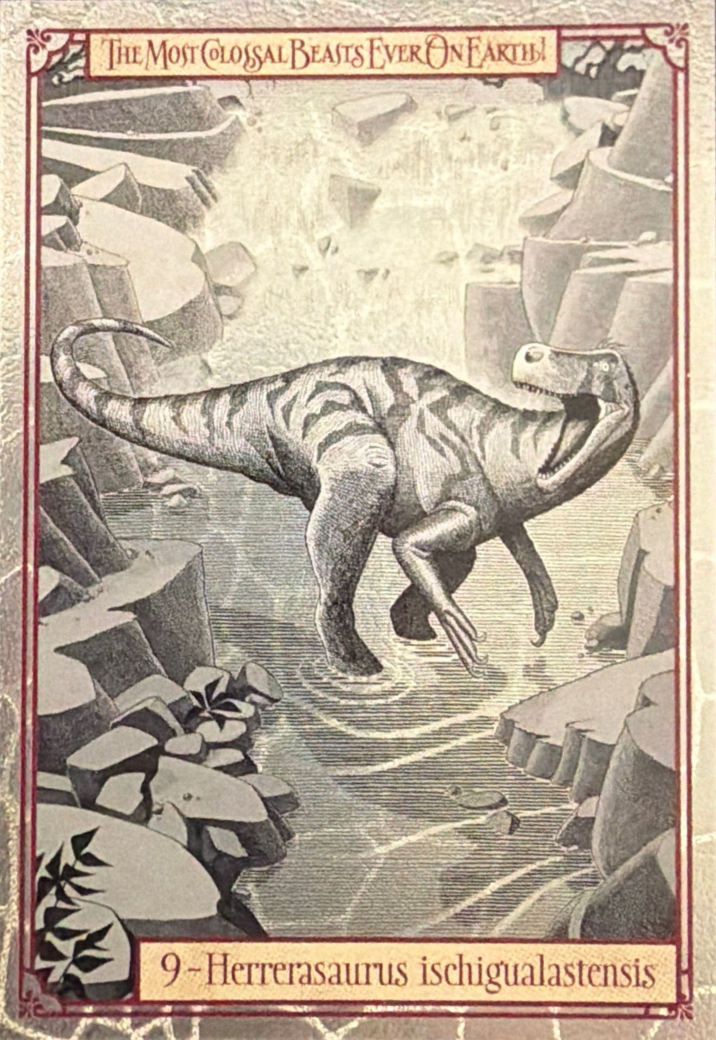 Release the Creatures Tomodachi Press - Scegli Card Tier A 1-150