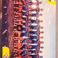 Tour de France 2026 - Scegli figurine stickers da 157 a 325