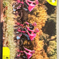 Tour de France 2026 - Scegli figurine stickers da da 1 a 156