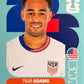 World Cup 2026 Panini - Scegli figurina da - USA a TUN
