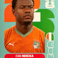 World Cup 2026 Panini - Scegli figurina da - USA a TUN
