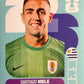 World Cup 2026 Panini - Scegli figurina da - BEL a NOR