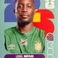 World Cup 2026 Panini - Scegli figurina da - ARG a FWC