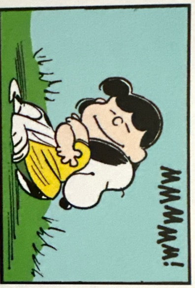 Peanuts 2024 Panini - Scegli figurina Da 1 a 100