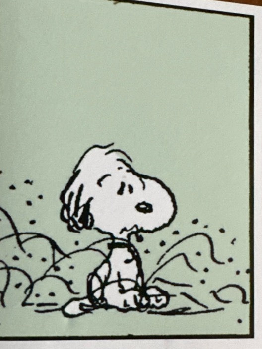 Peanuts 2024 Panini - Scegli figurina Da 1 a 100