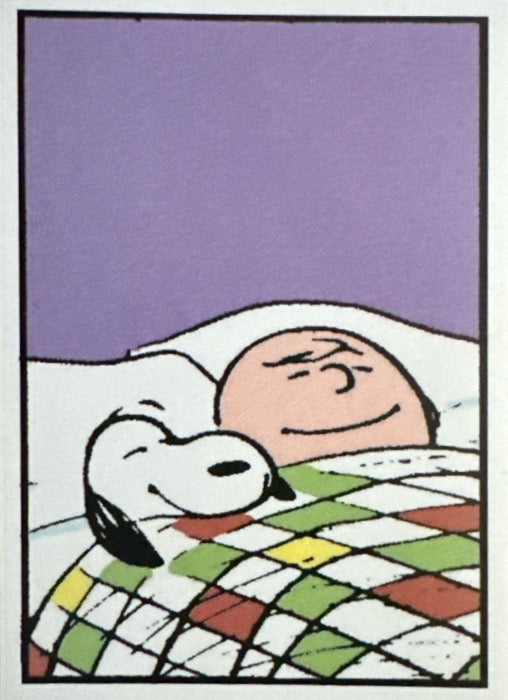 Peanuts 2024 Panini - Scegli figurina Da 1 a 100