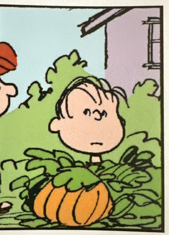 Peanuts 2024 Panini - Scegli figurina da 101 a 200