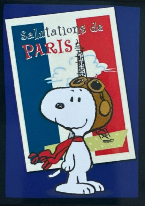 Peanuts 2024 Panini - Scegli Card da C1 a C50